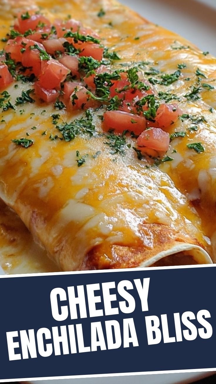 Queso Chicken Enchiladas Platter