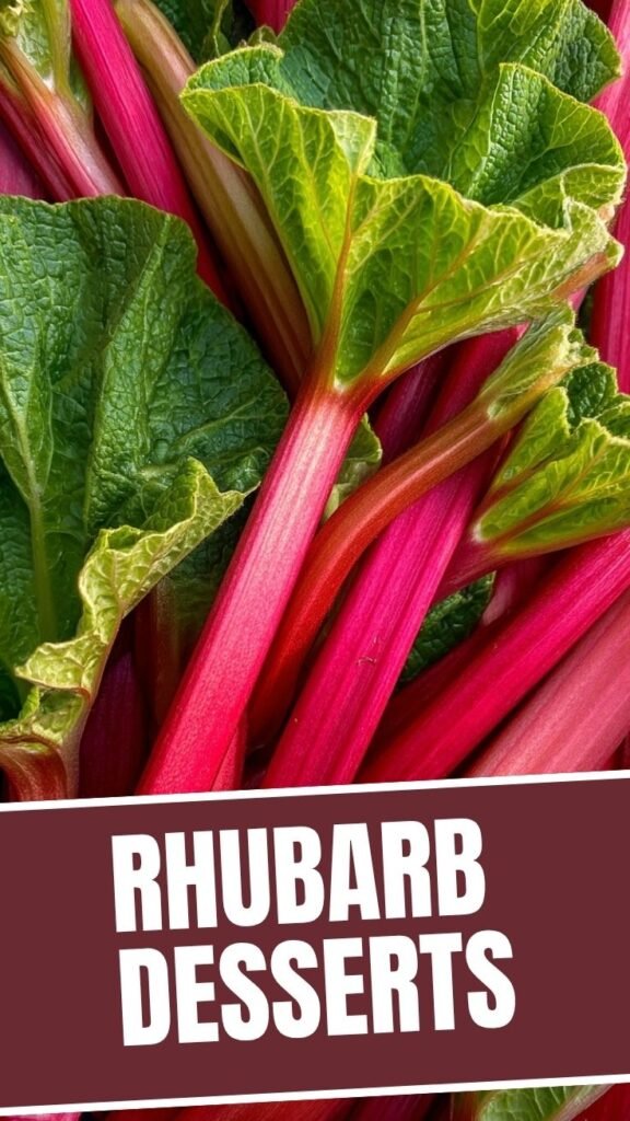 A variety of homemade rhubarb desserts, showcasing their vibrant color and texture.