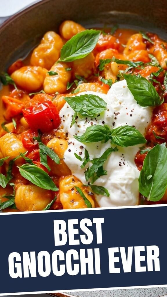 A close-up of tomato gnocchi served with a creamy burrata cheese dollop and fresh basil leaves.